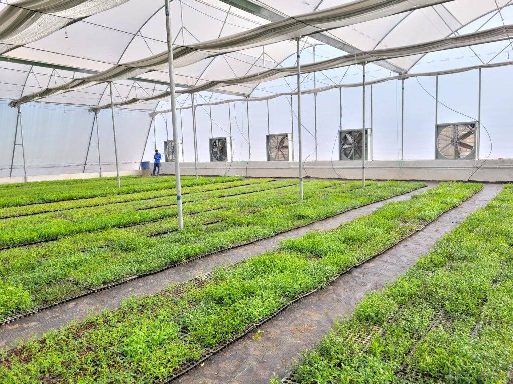 Greenhouse Exhaust Ventilation Fan