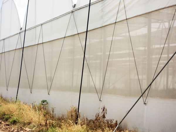 Greenhouse-Insect-Net