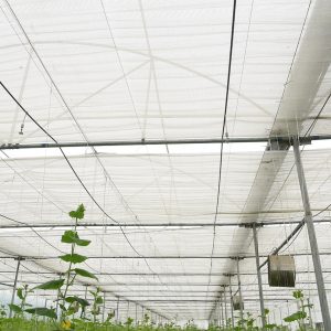 Green House Covering Material