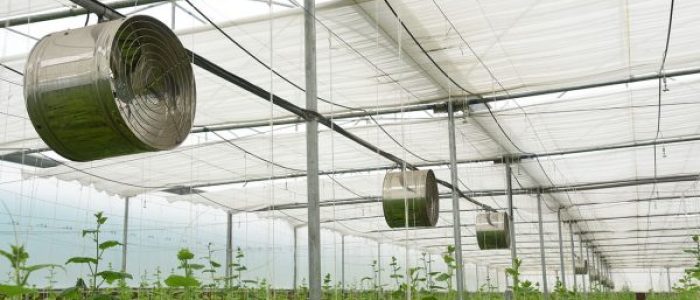 Greenhouse Air Circulation Fan