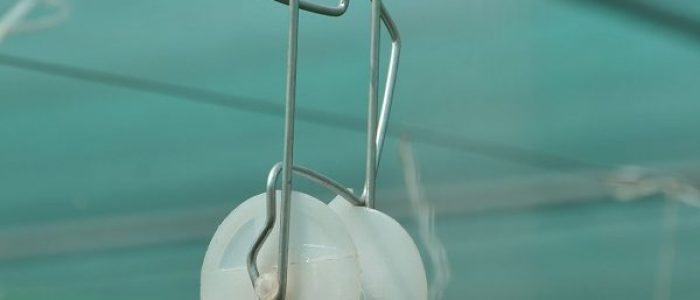 Greenhouse Roller Hook