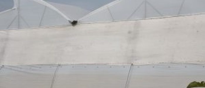 Polyhouse Turnkey Project