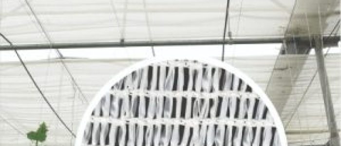 Greenhouse Shade Net